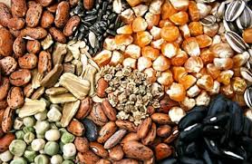 Hybrid seeds